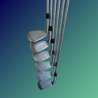 Set de hierros Mizuno Pro 225 (5 al PW)