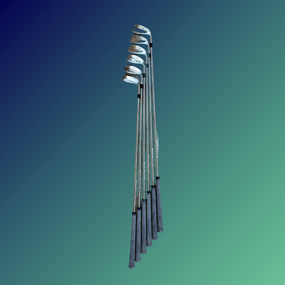 Set de hierros Mizuno Pro 225 (5 al PW)